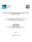 Technical Assistance for Intellectual Property Rights Protection (2013)